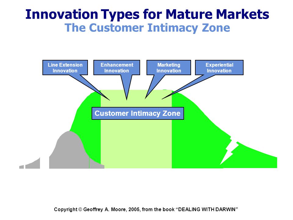 Innovation Types for Mature Markets The Customer Intimacy Zone