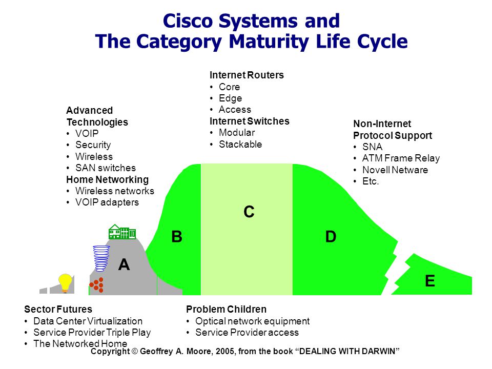 Cisco Systems and The Category Maturity Life Cycle