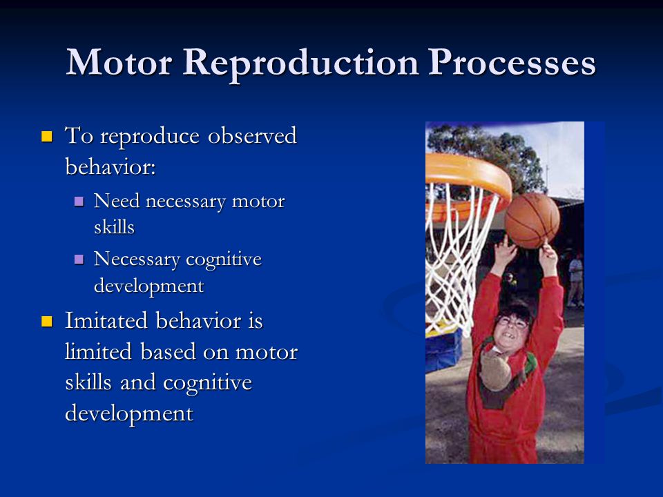 Motor Reproduction Processes