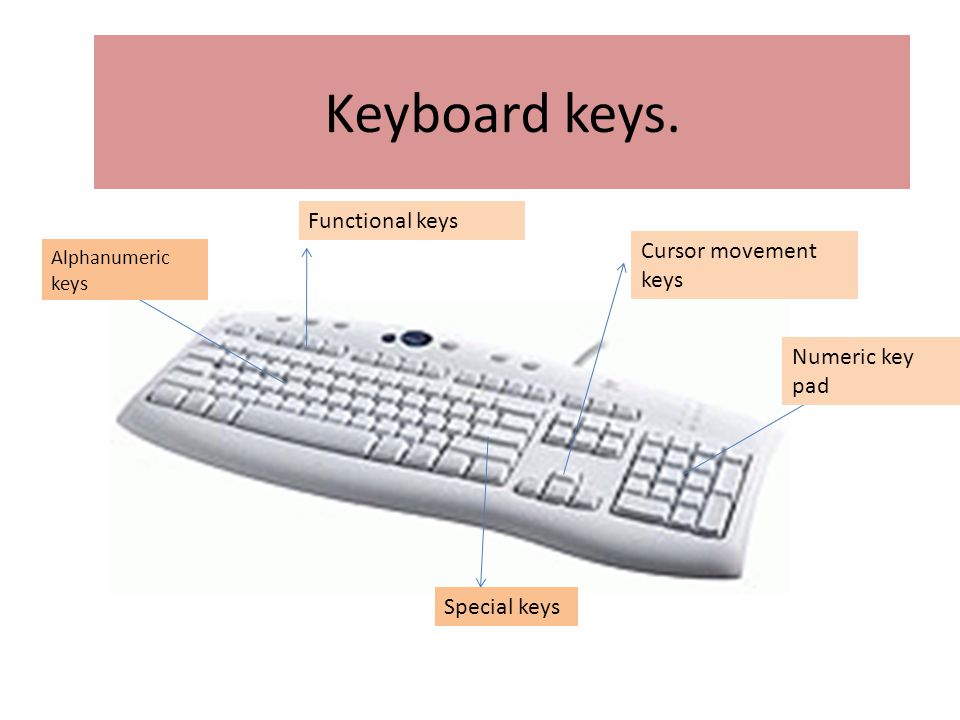 Keyboard keys. Functional keys Cursor movement keys Numeric key pad