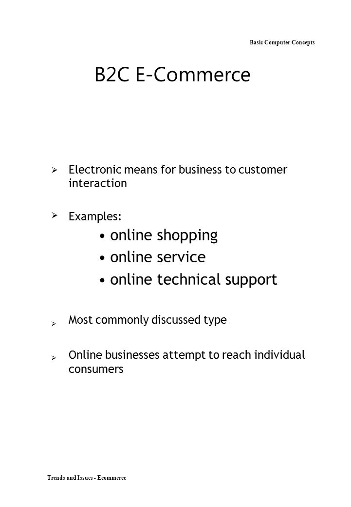 B2C E-Commerce Basic Computer Concepts