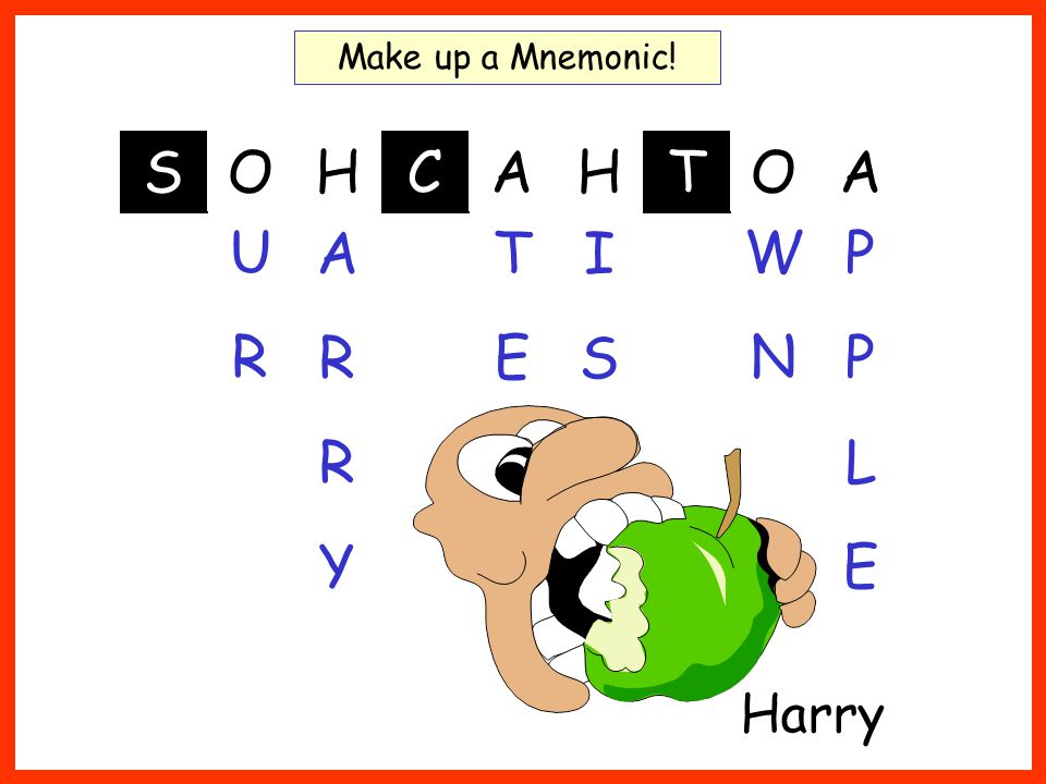 S O C H A T Make up a Mnemonic! Harry U R A R Y T E I S W N P L E