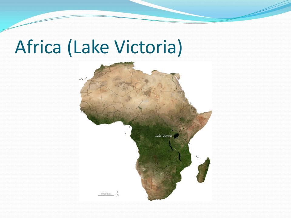 Africa (Lake Victoria)