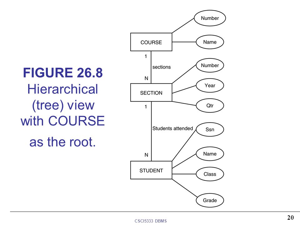 FIGURE 26.8 Hierarchical (tree) view with COURSE as the root.