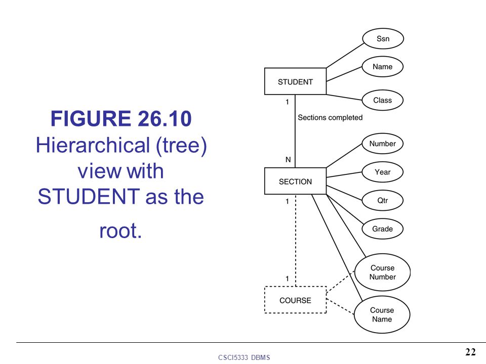 FIGURE Hierarchical (tree) view with STUDENT as the root.