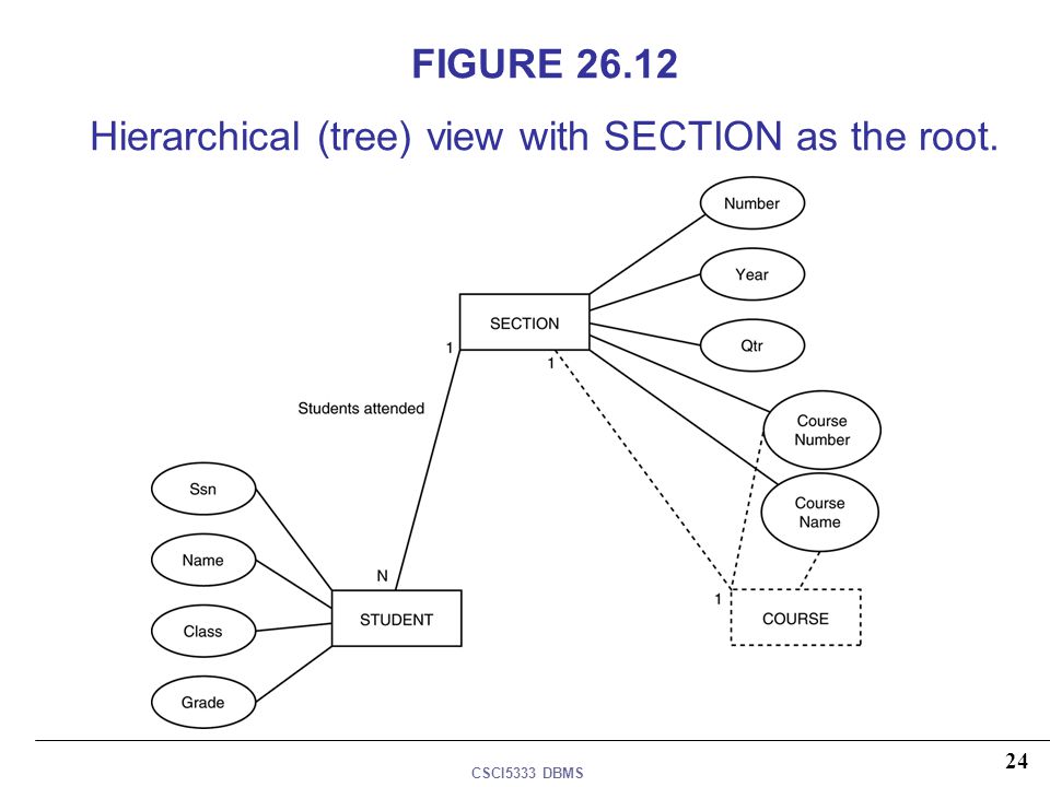 FIGURE Hierarchical (tree) view with SECTION as the root.