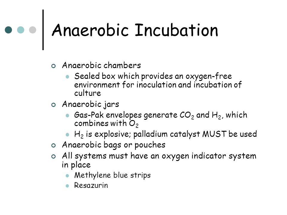 Anaerobes of Clinical Importance Part One - ppt video online download
