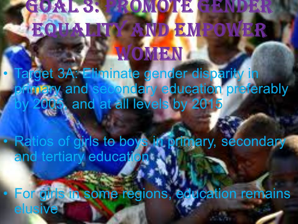 Goal 3: Promote gender equality and empower women