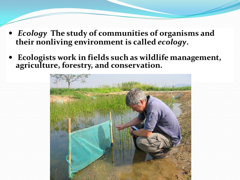 Ecology The study of communities of organisms and their nonliving environment is called ecology.