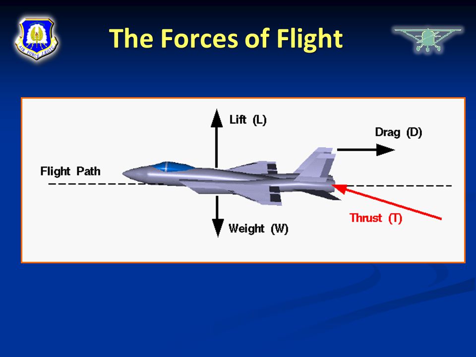 The Forces of Flight