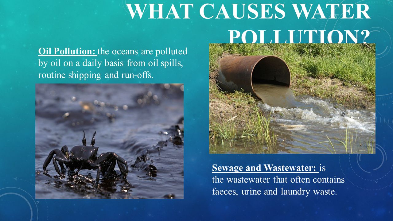WHAT Causes WATER POLLUTION