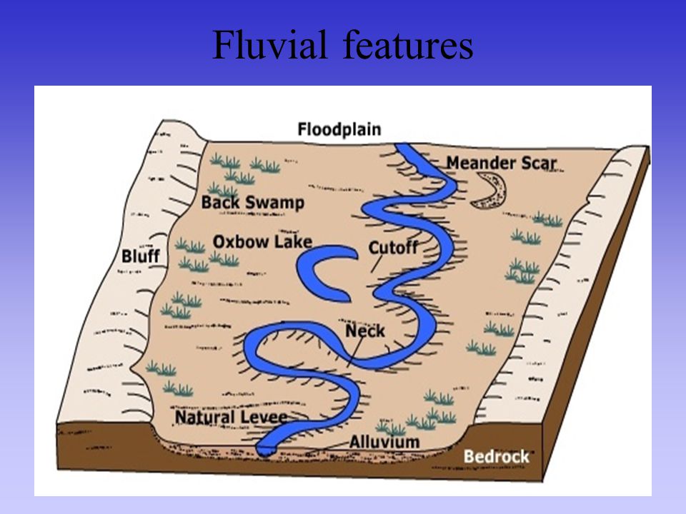 Fluvial features
