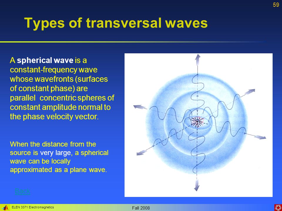 Types of transversal waves