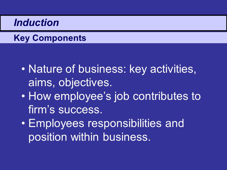 Nature of business: key activities, aims, objectives.
