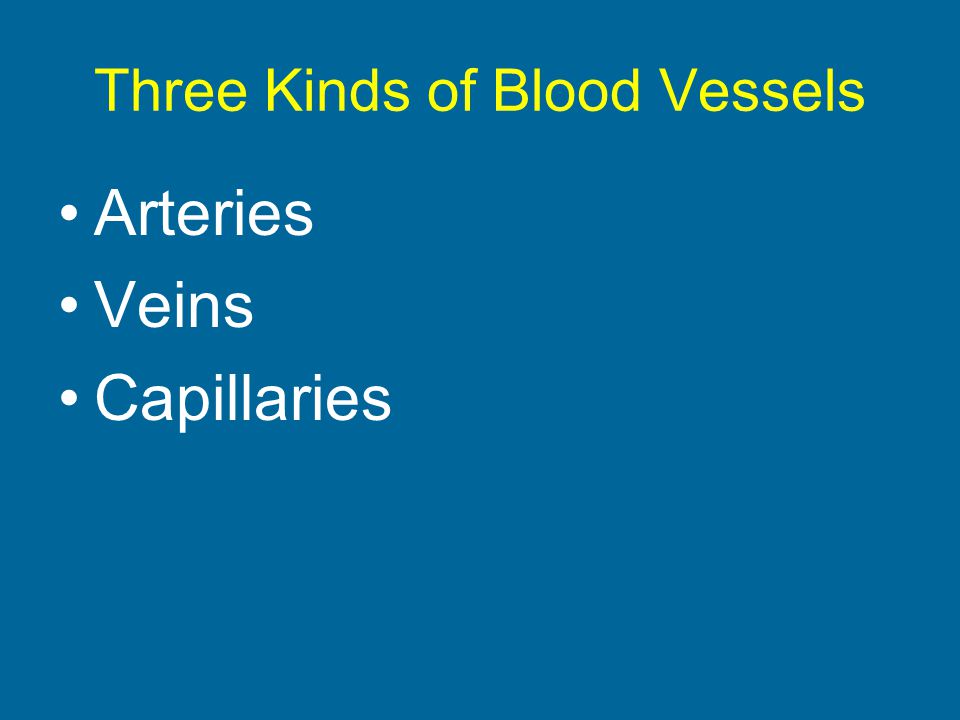 Three Kinds of Blood Vessels