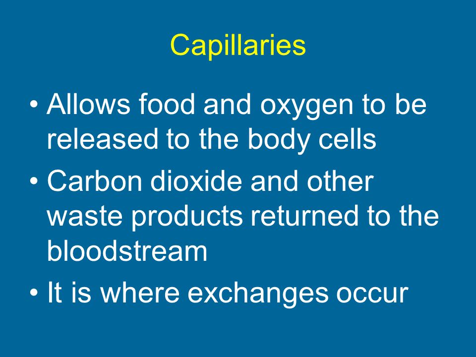 Capillaries Allows food and oxygen to be released to the body cells. Carbon dioxide and other waste products returned to the bloodstream.