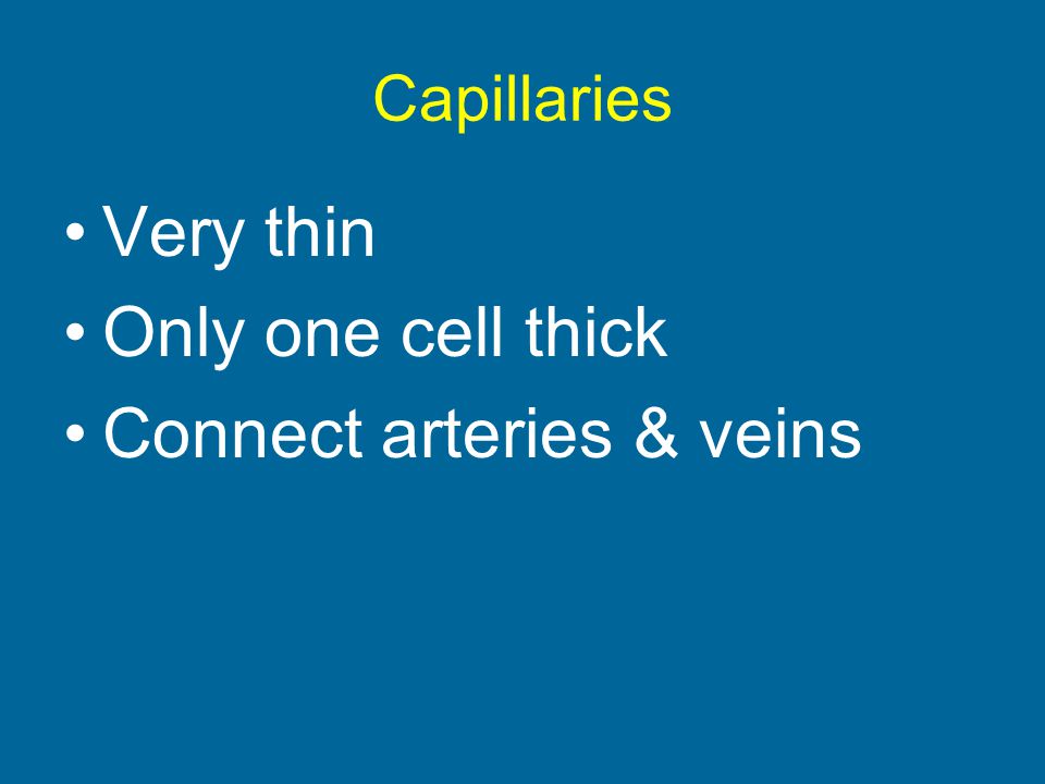 Connect arteries & veins