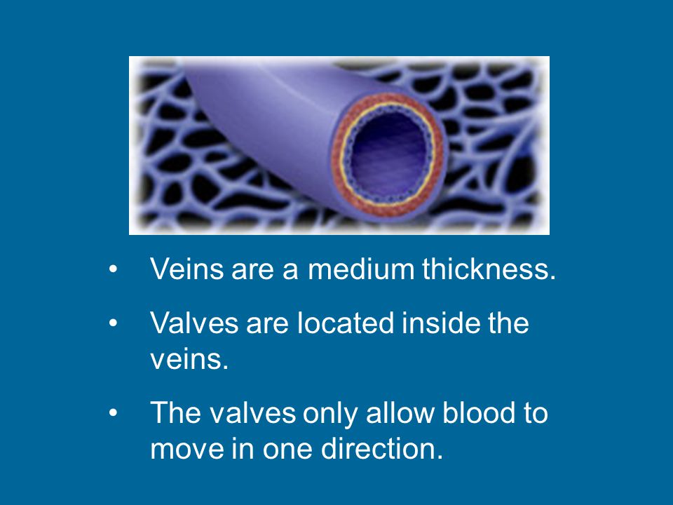 Veins are a medium thickness.