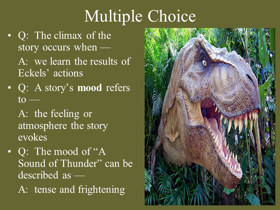 Multiple Choice Q: The climax of the story occurs when —