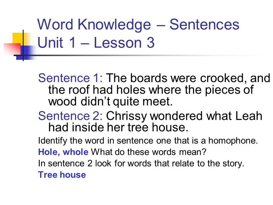 Word Knowledge – Sentences Unit 1 – Lesson 3
