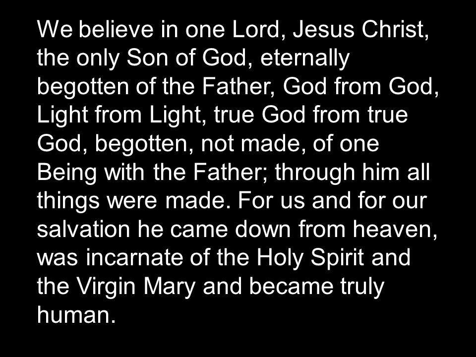 We believe in one Lord, Jesus Christ, the only Son of God, eternally begotten of the Father, God from God, Light from Light, true God from true God, begotten, not made, of one Being with the Father; through him all things were made.