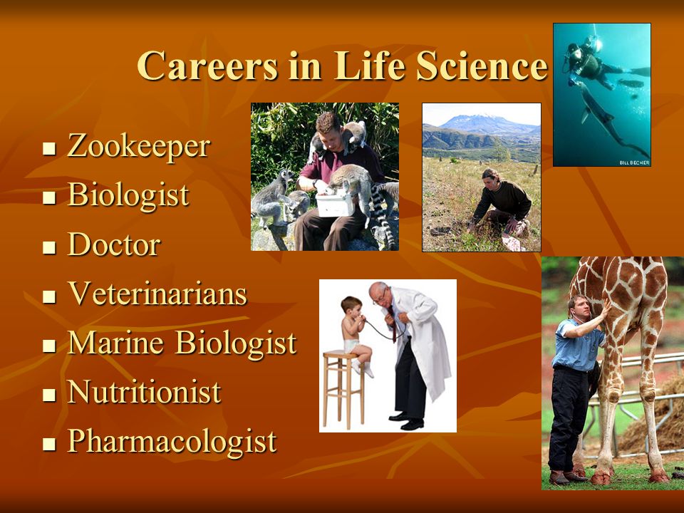 Careers in Life Science