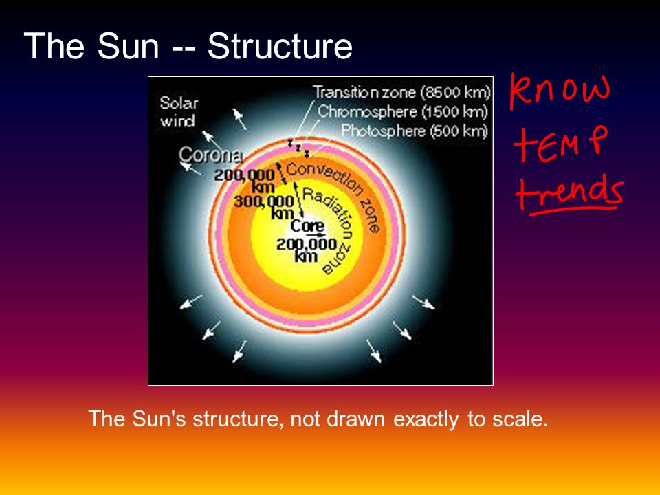 The Sun -- Structure The Sun s structure, not drawn exactly to scale.