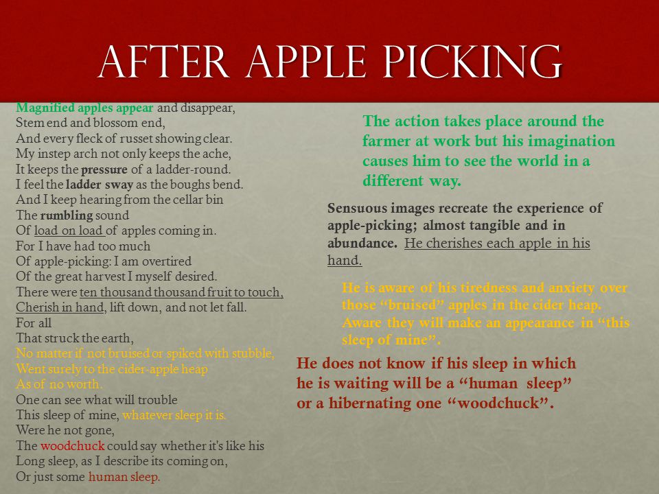 robert frost after apple picking