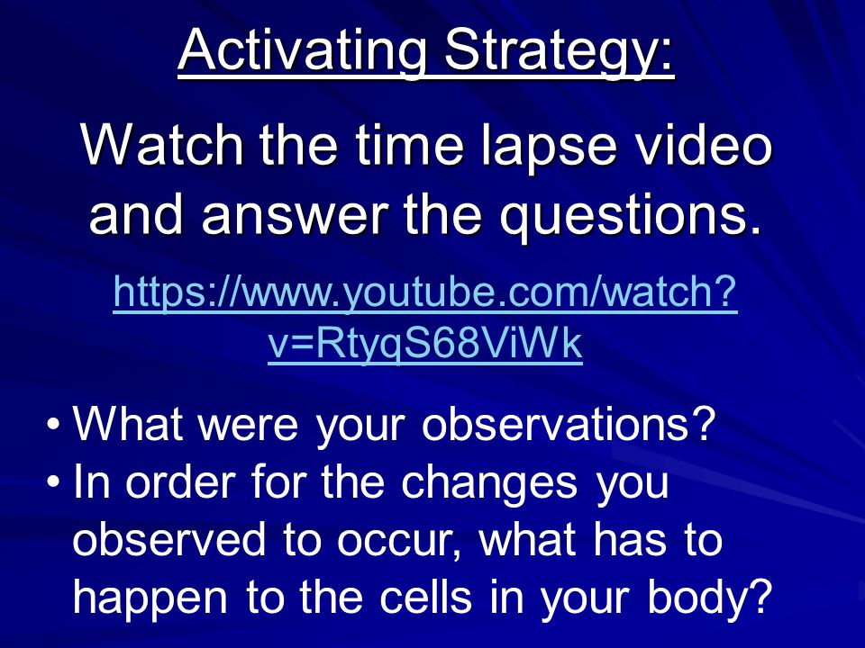 The Processes of the Cell - ppt download