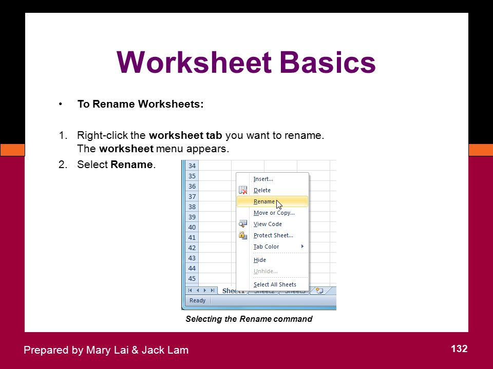 Worksheet Basics To Rename Worksheets: