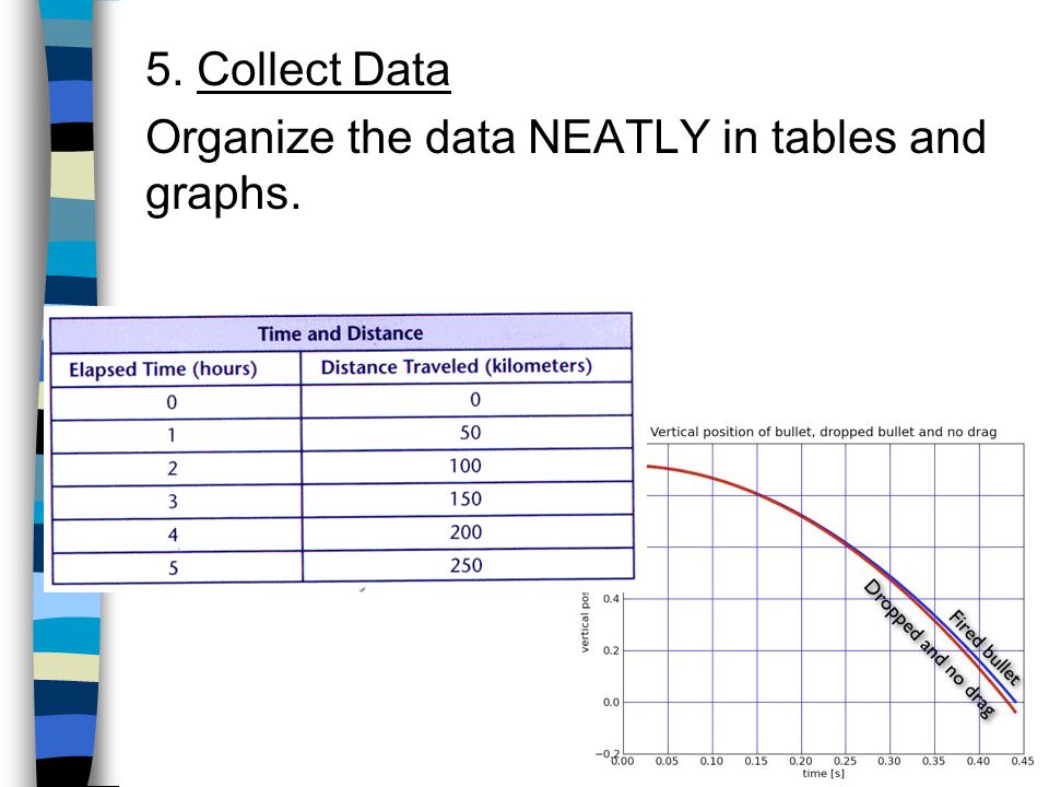 5. Collect Data Organize the data NEATLY in tables and graphs.