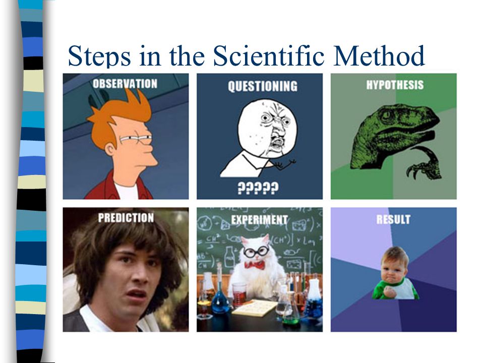 Steps in the Scientific Method
