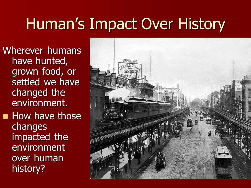 Human’s Impact Over History