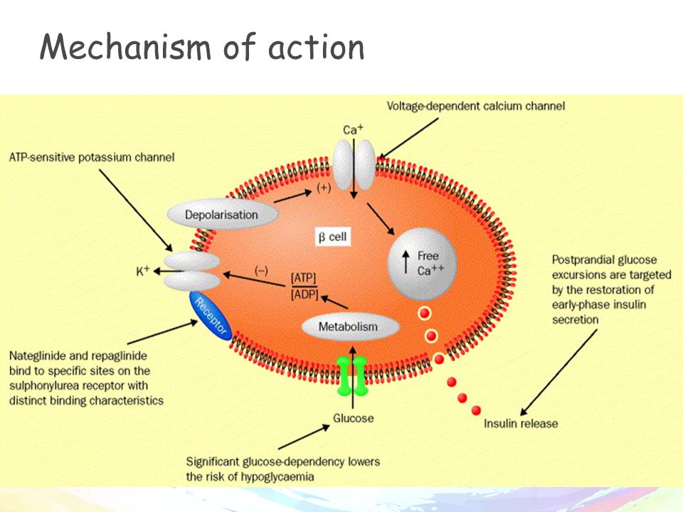 Mechanism of action. Адалимумаб механизм действия. Ethionamide mechanism of Action. Mechanism of Action of antiviral drugs.