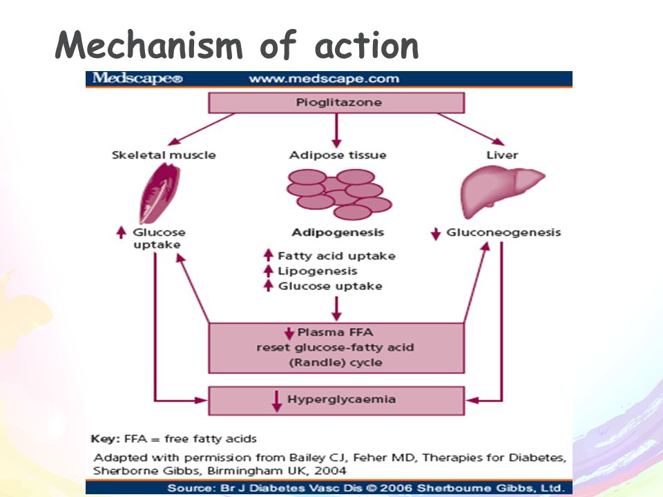 Mechanism of action. Insulin mechanism of Action. Инсулин на английском презентация. Mifepristone mechanism of Action. Thalidomide mechanism of Action.