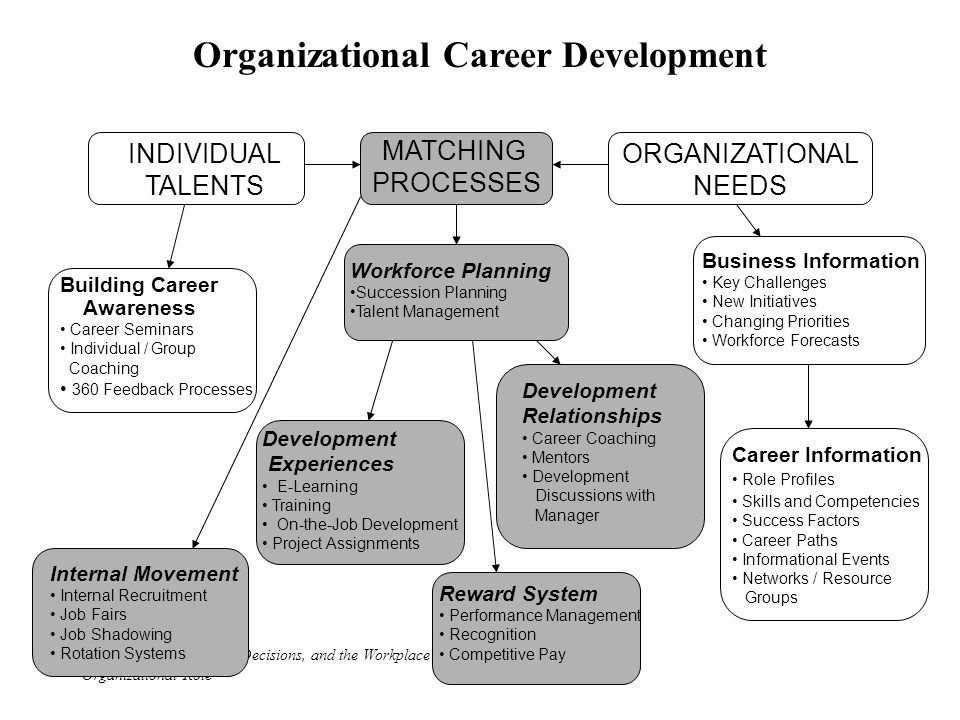 development planning for a career in business