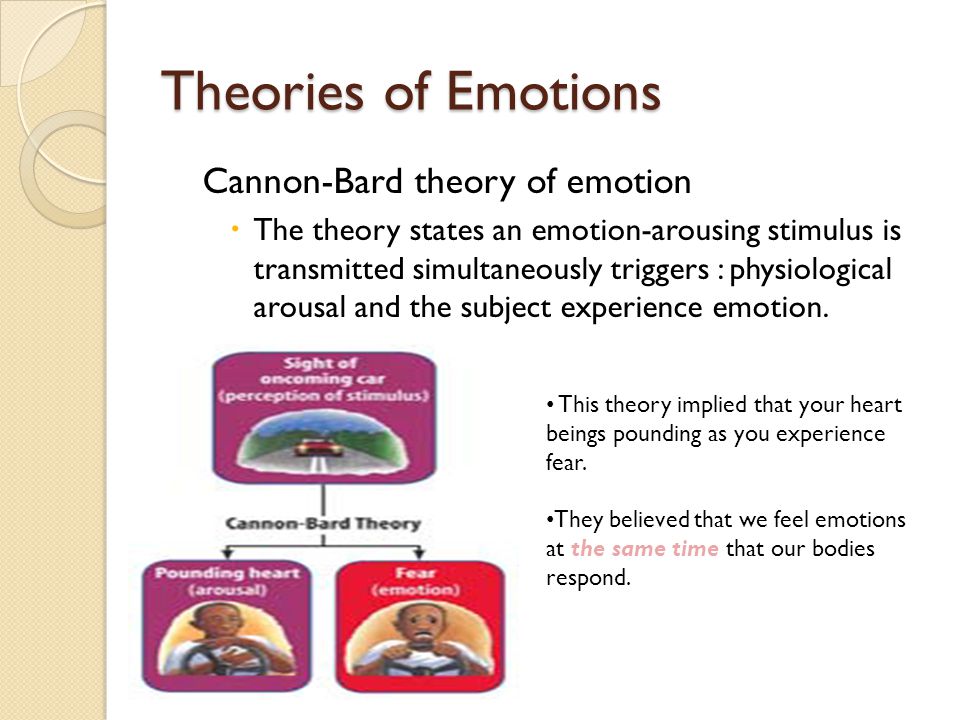 Cannon Bard Theory Of Emotion Example   Slideshare