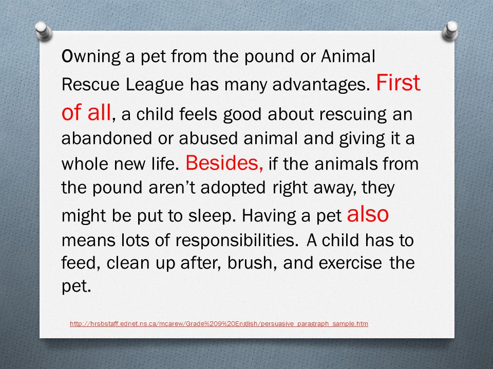 Owning a pet from the pound or Animal Rescue League has many advantages. First of all, a child feels good about rescuing an abandoned or abused animal and giving it a whole new life. Besides, if the animals from the pound aren’t adopted right away, they might be put to sleep. Having a pet also means lots of responsibilities. A child has to feed, clean up after, brush, and exercise the pet.