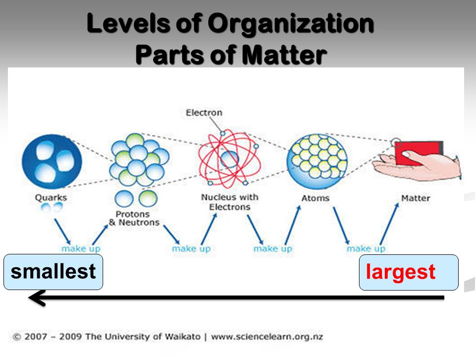 Levels of Organization Parts of Matter