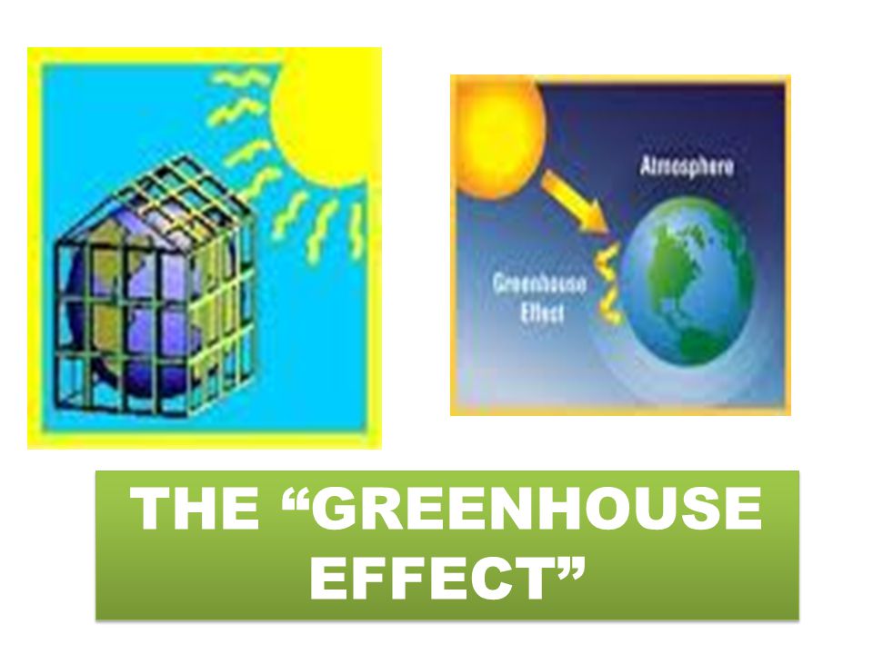 THE GREENHOUSE EFFECT