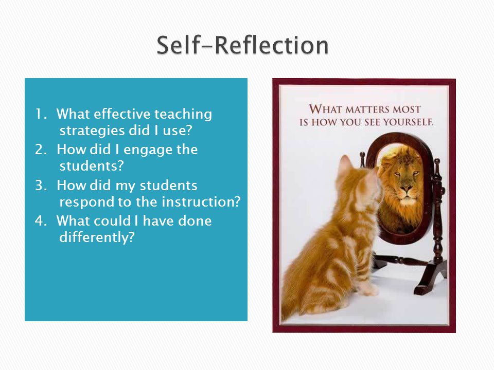 Self-Reflection 1. What effective teaching strategies did I use