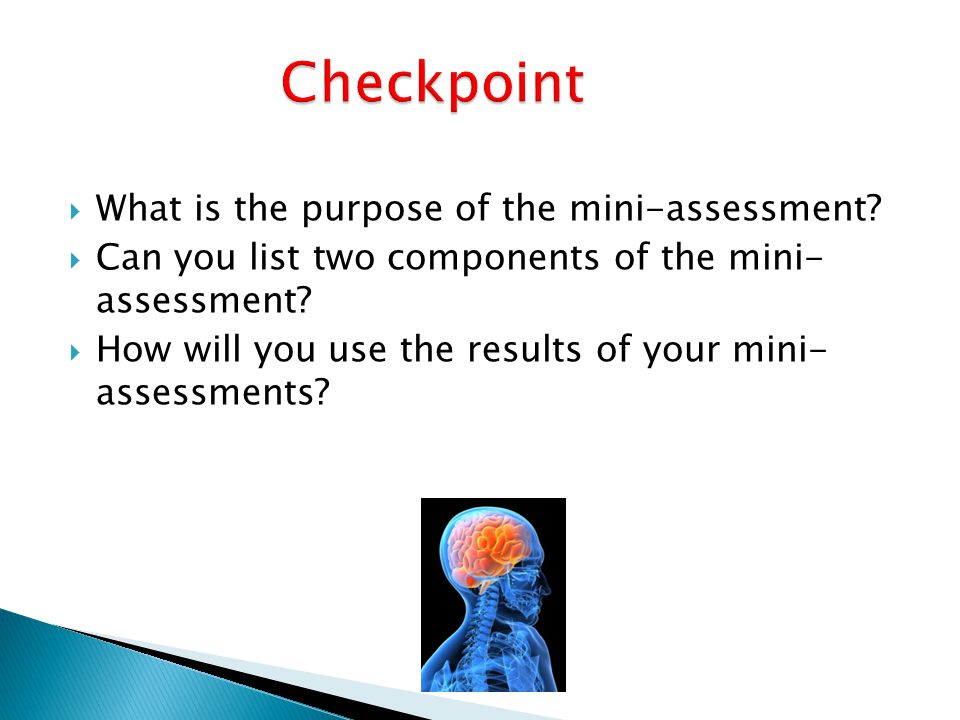 Checkpoint What is the purpose of the mini-assessment