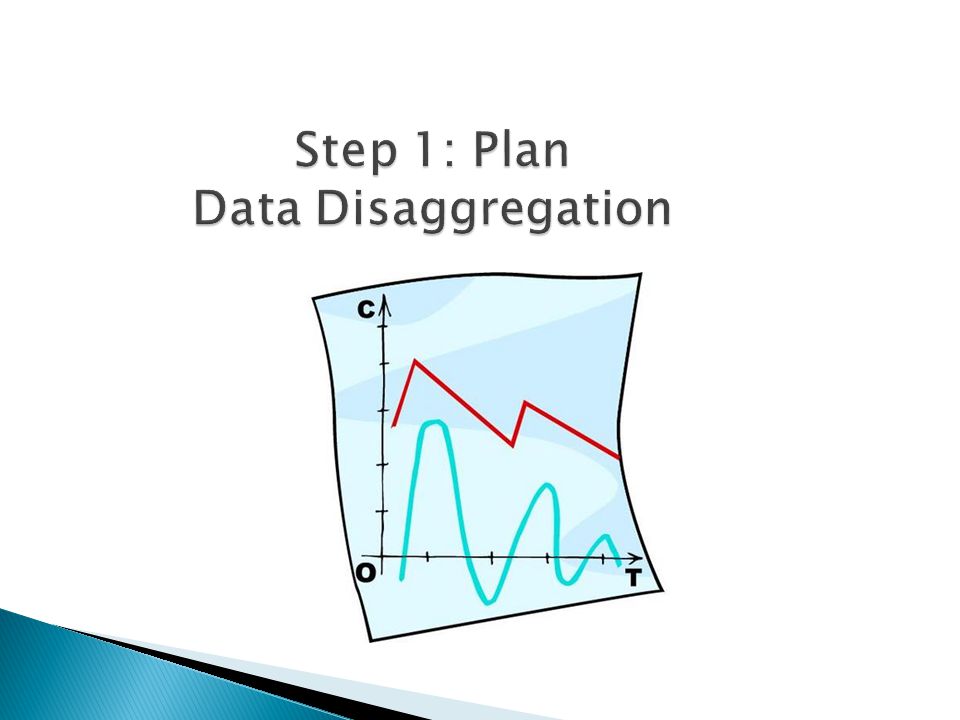 Step 1: Plan Data Disaggregation