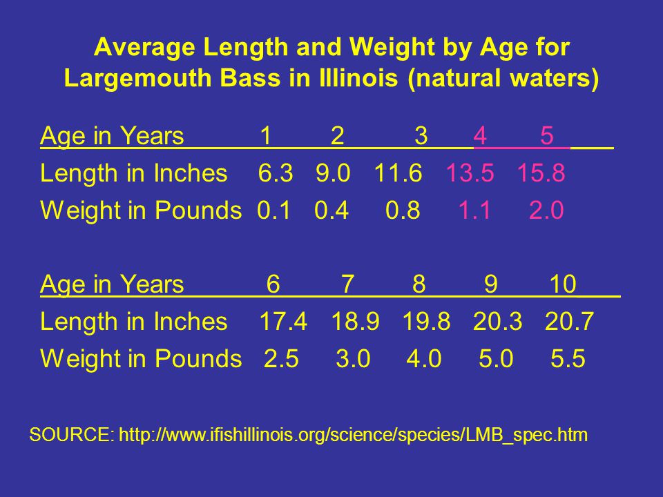 Largemouth Bass Age Chart