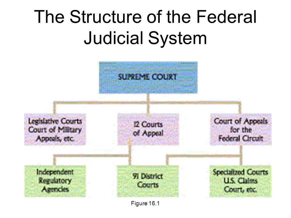 Judicial system. System Court structure. Judicial System of the USA. The Federal Court System of the USA. The us Court System топик.