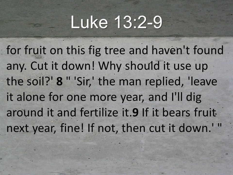 Luke 13:2-9