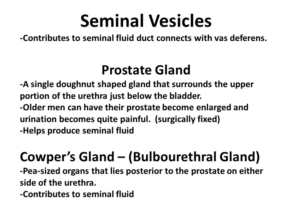 Structure and function ppt video online download