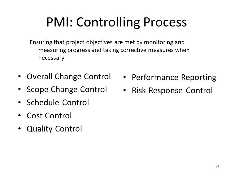 PMI: Controlling Process