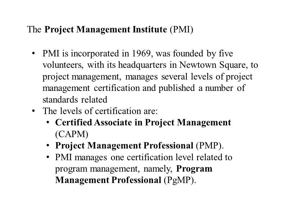 The Project Management Institute (PMI)
