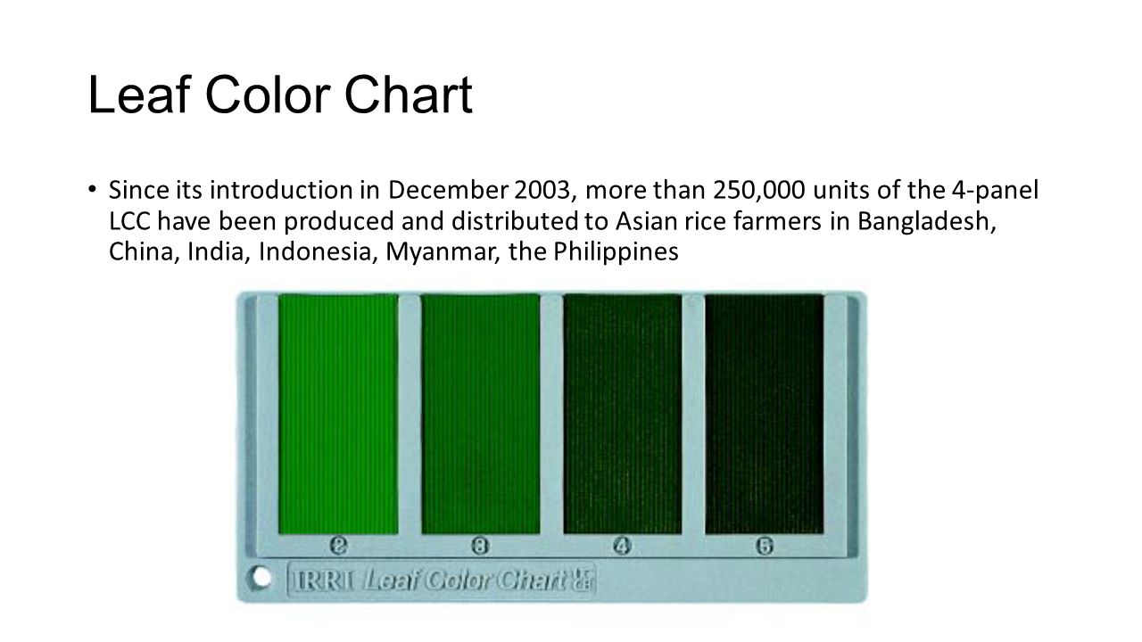 Irri Leaf Color Chart